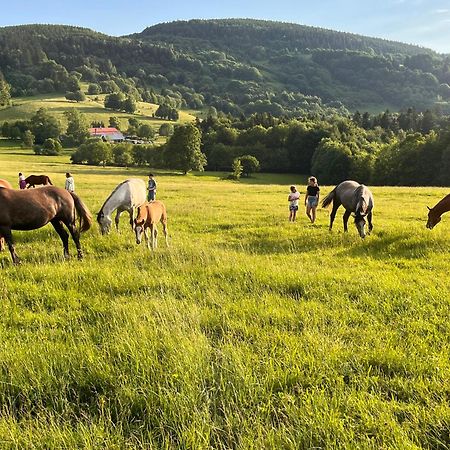 Duszniki ZdrójRancho Panderoza住宿加早餐旅馆 外观 照片