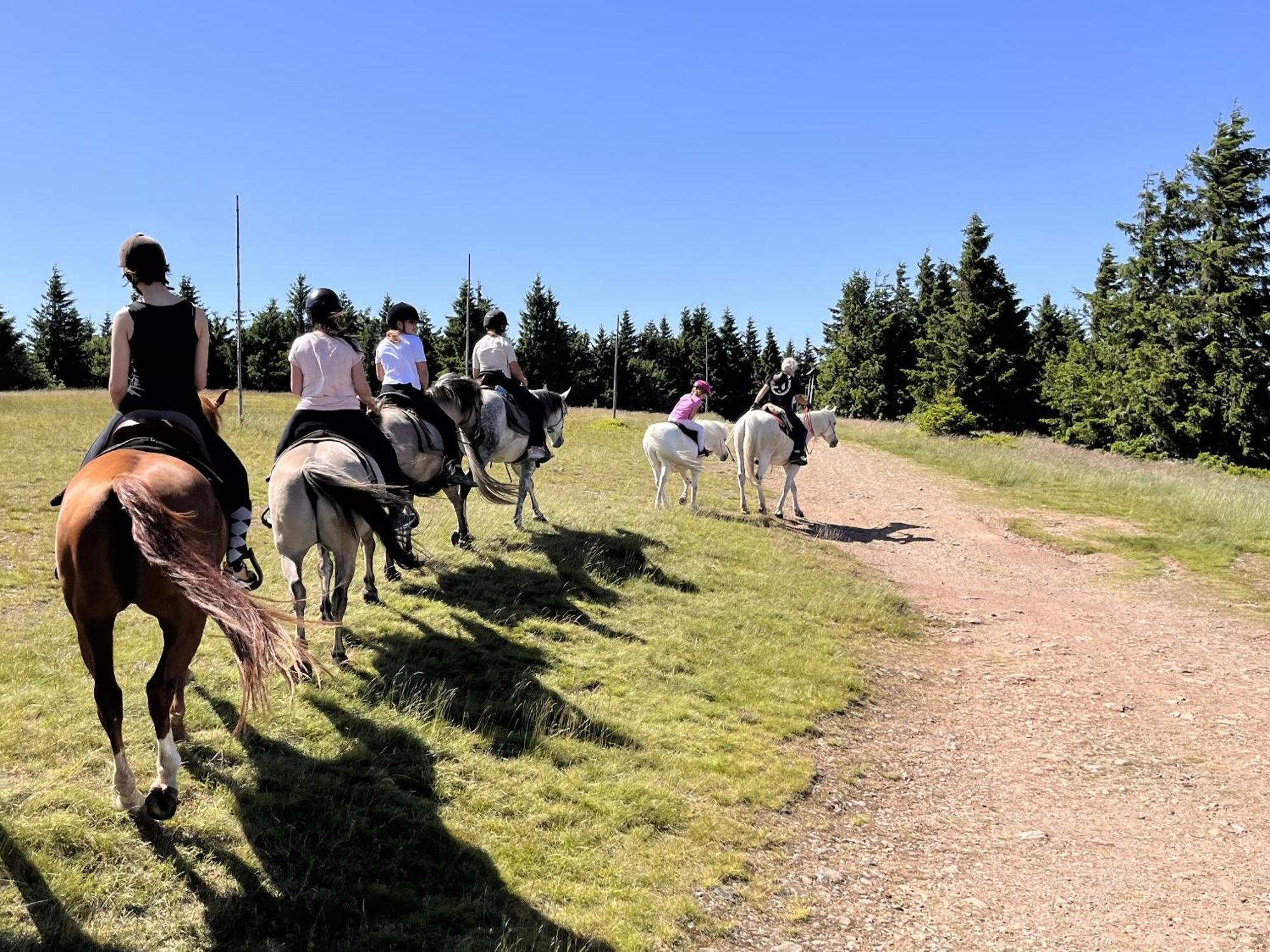 Duszniki ZdrójRancho Panderoza住宿加早餐旅馆 外观 照片