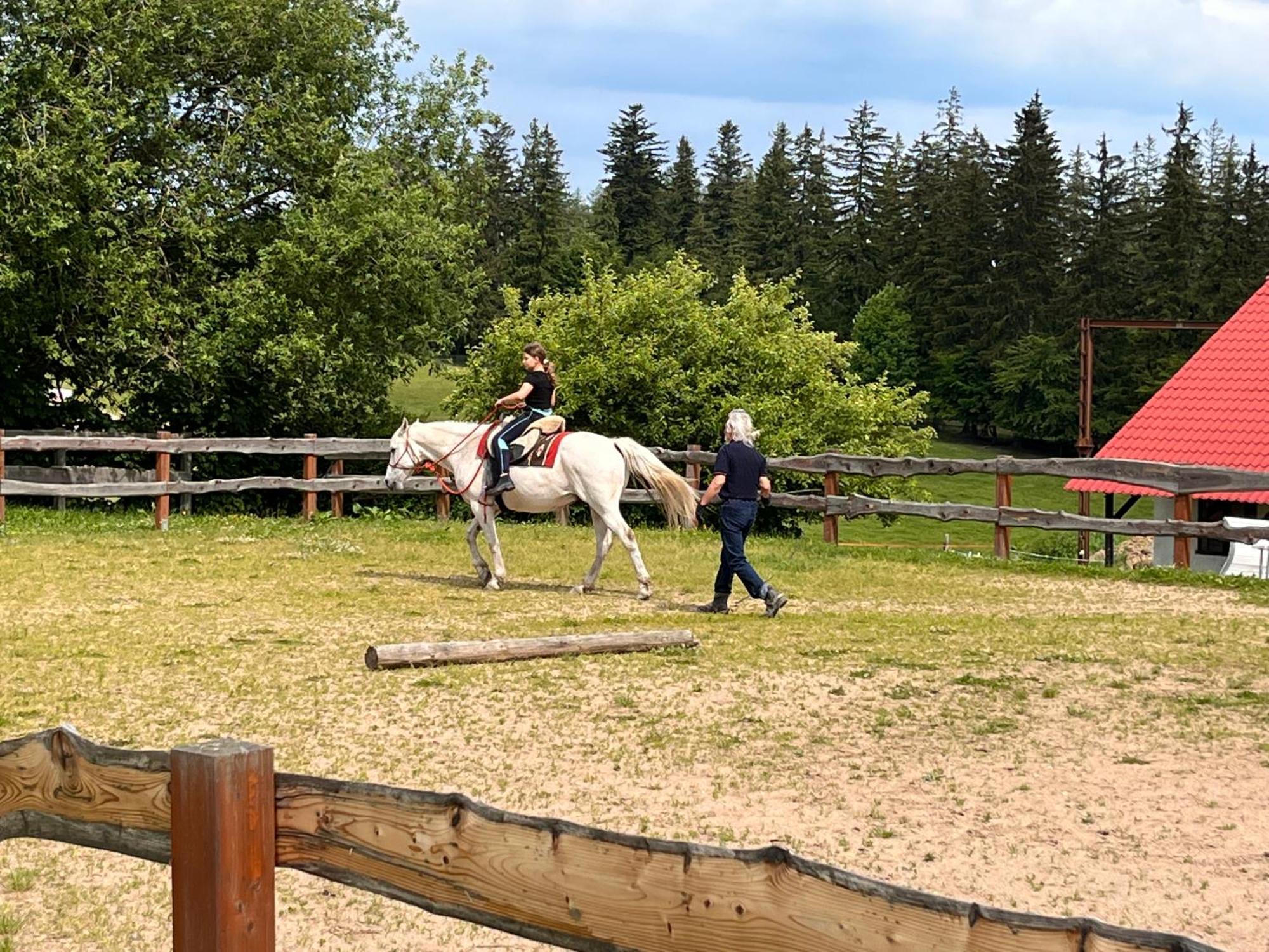 Duszniki ZdrójRancho Panderoza住宿加早餐旅馆 外观 照片